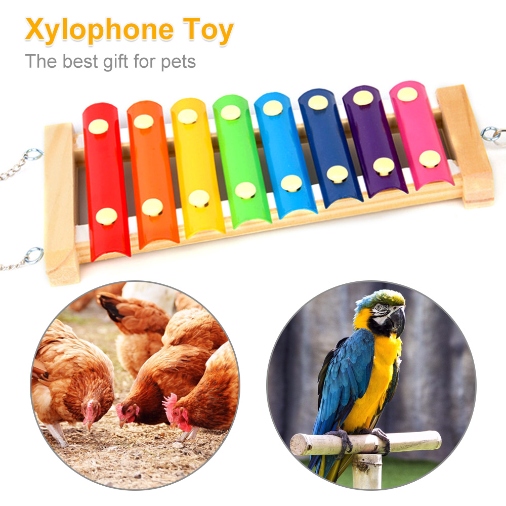 Jouet Xylophone pour oiseaux,  - Musical Instrument Harmonium avis et prix